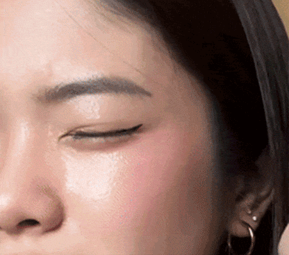 Eyeliner Aile Parfaite — Eylyn